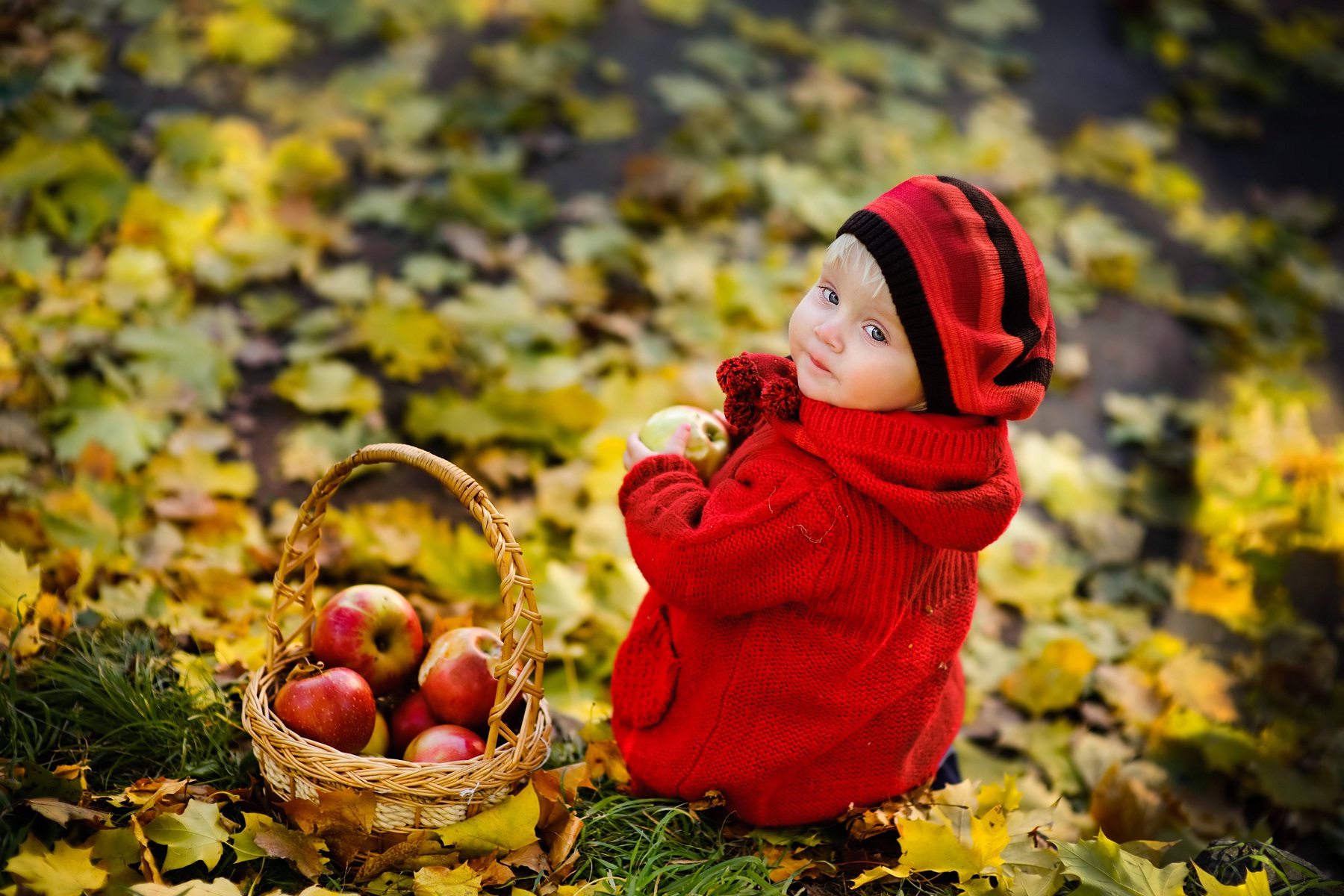 anne-bebek